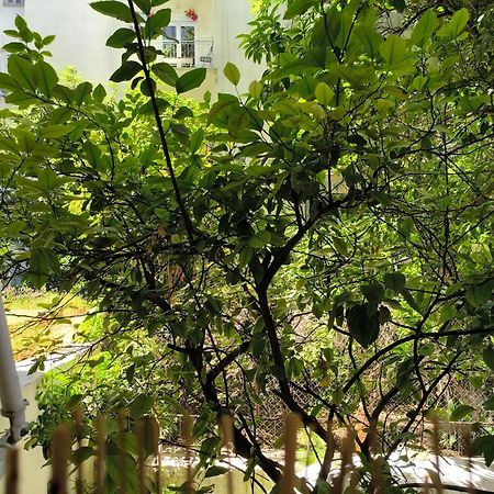 Athens Nice N Easy Apartment 外观 照片