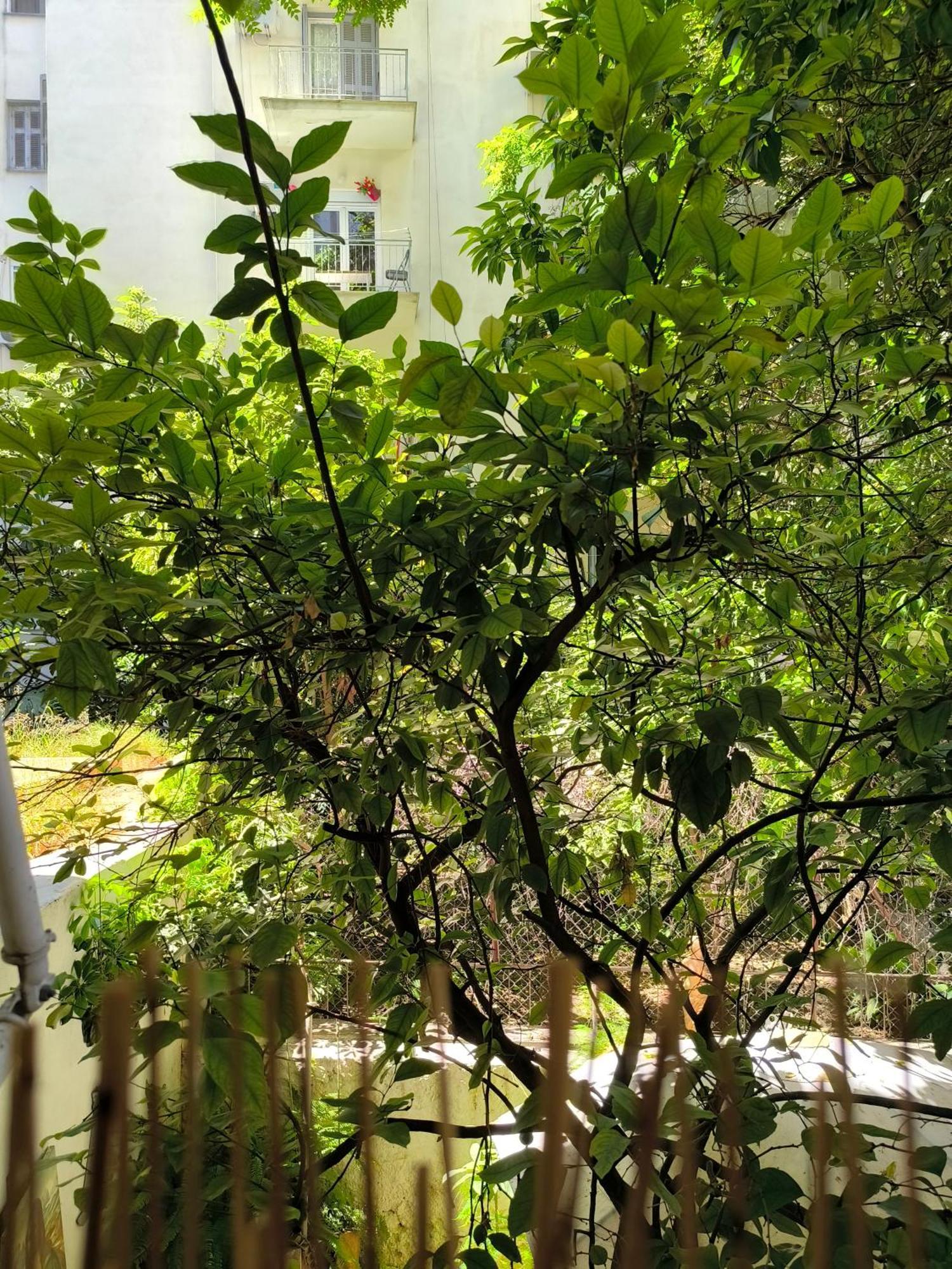 Athens Nice N Easy Apartment 外观 照片