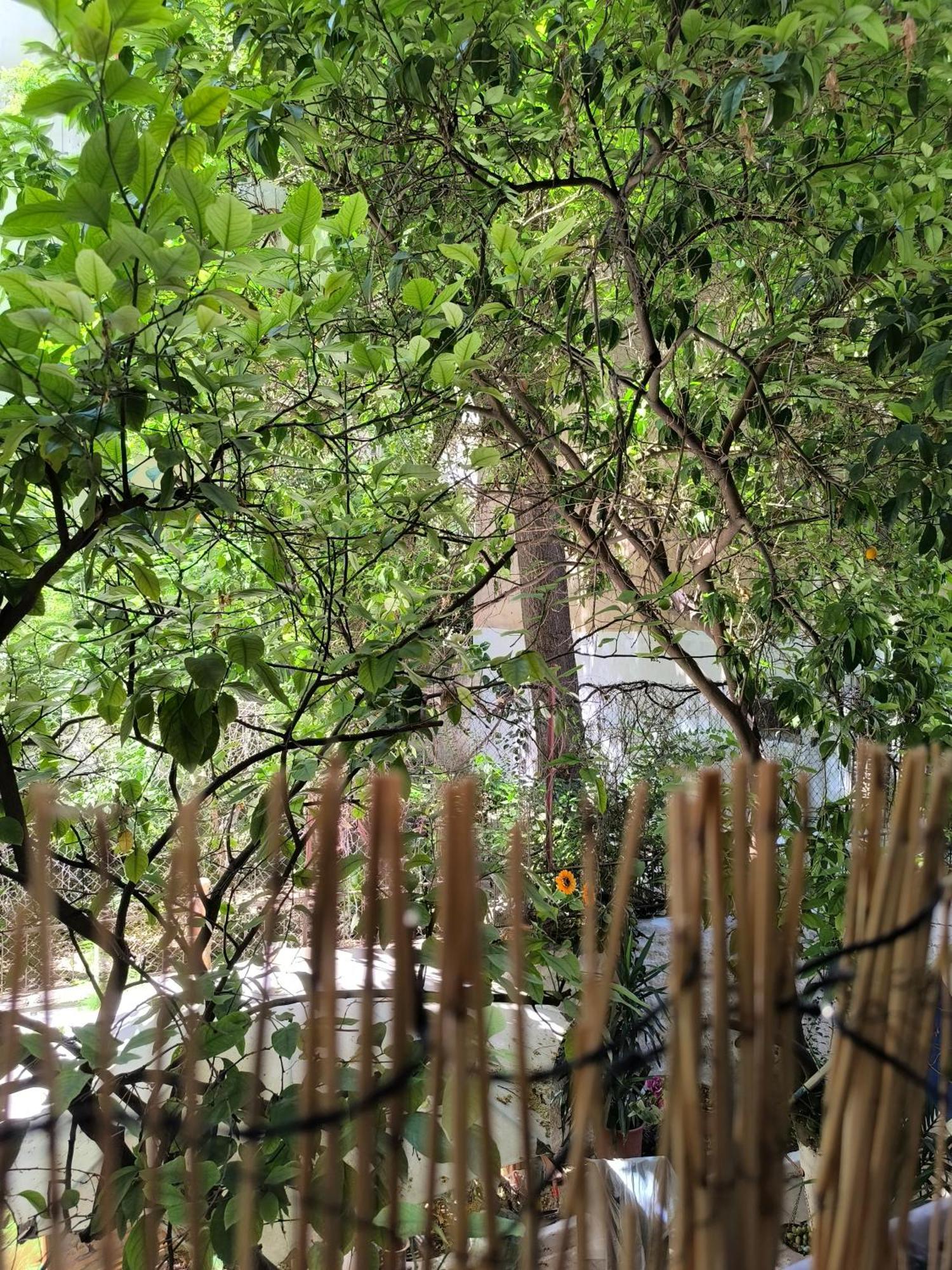 Athens Nice N Easy Apartment 外观 照片