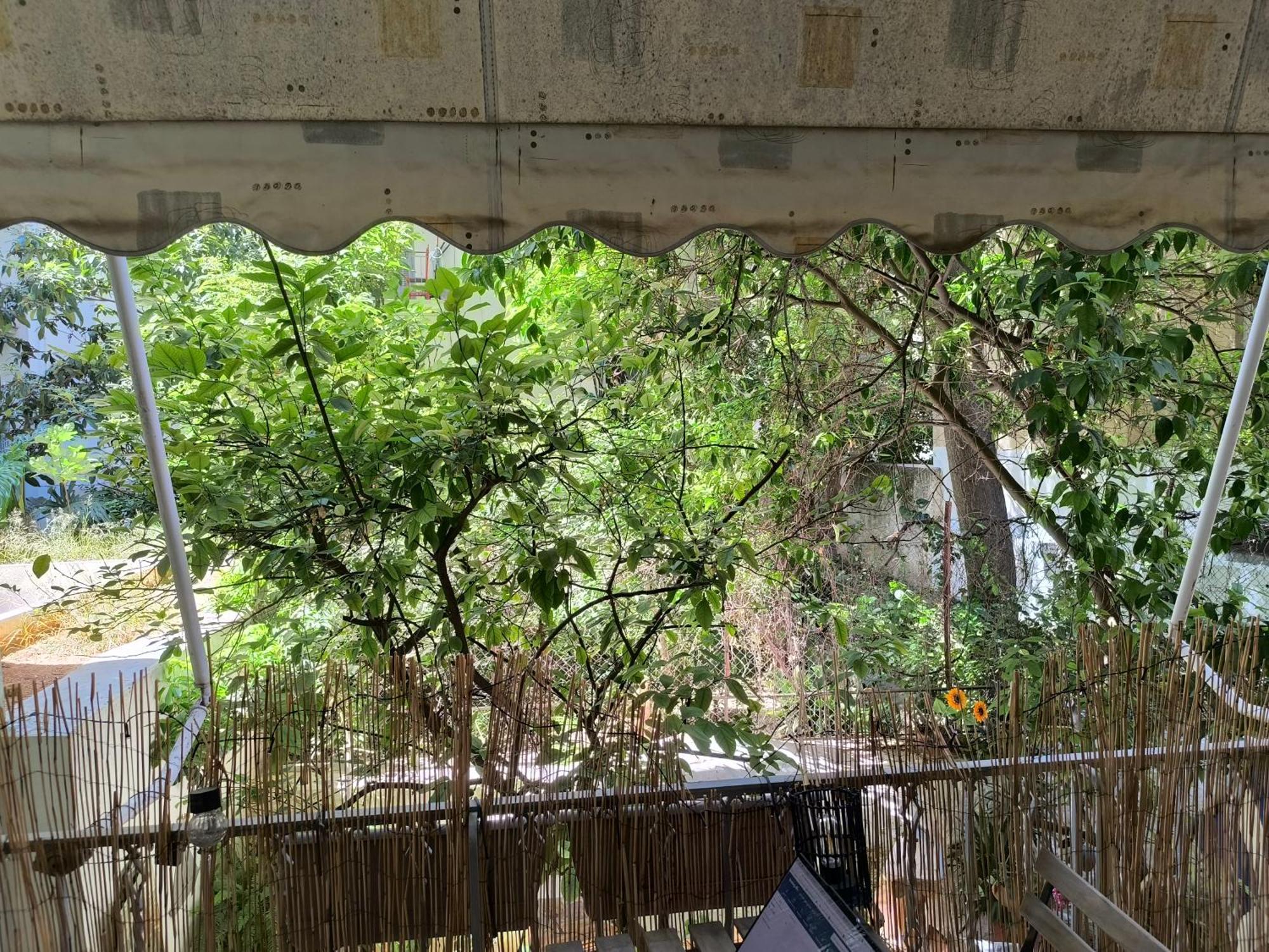 Athens Nice N Easy Apartment 外观 照片